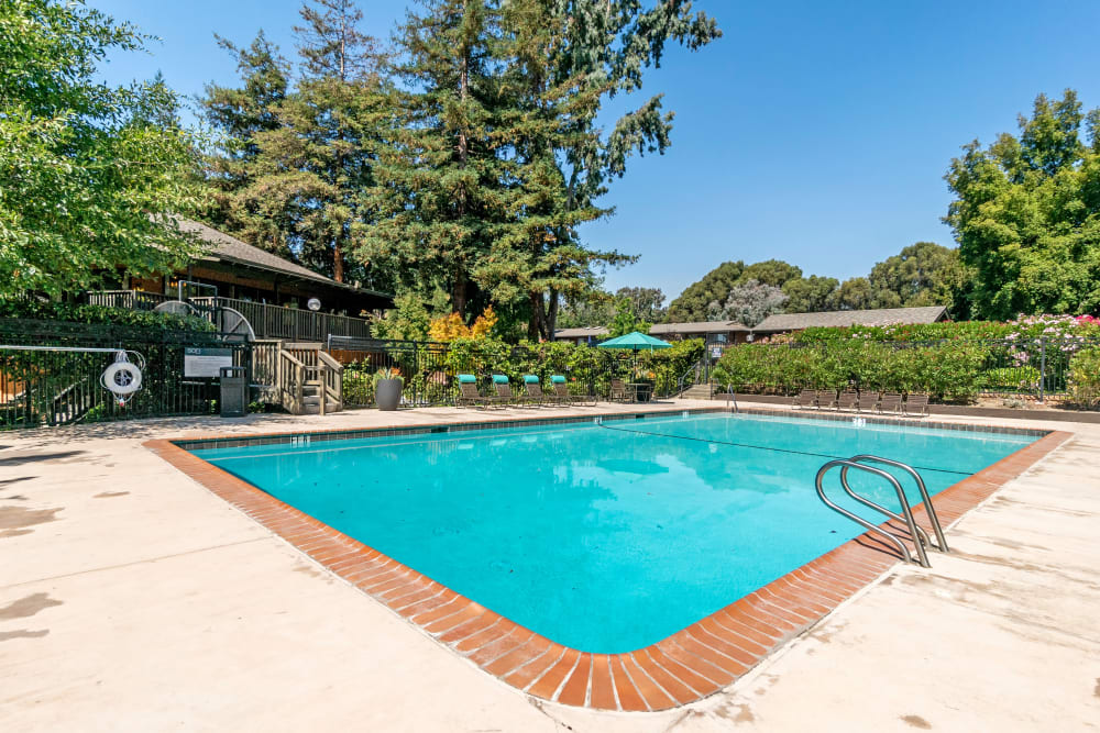 Swimming pool on a beautiful day at Sofi Fremont in Fremont, California