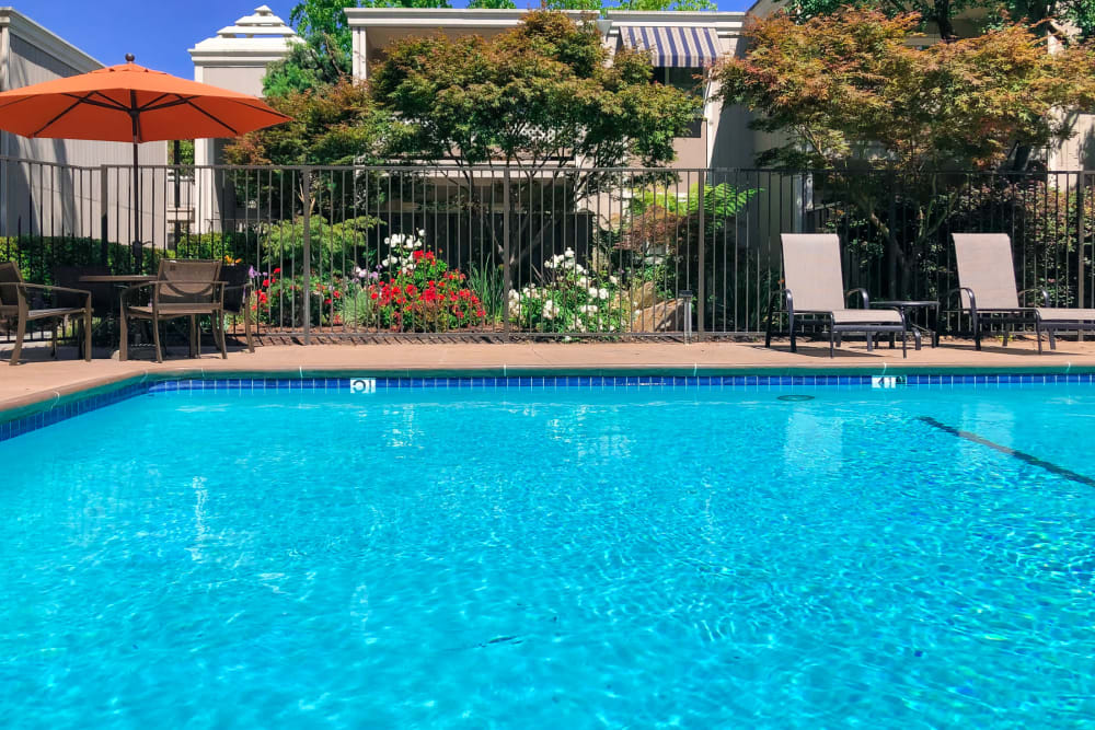 Resort-style swimming pool at Halford Gardens Apartments in Santa Clara, California