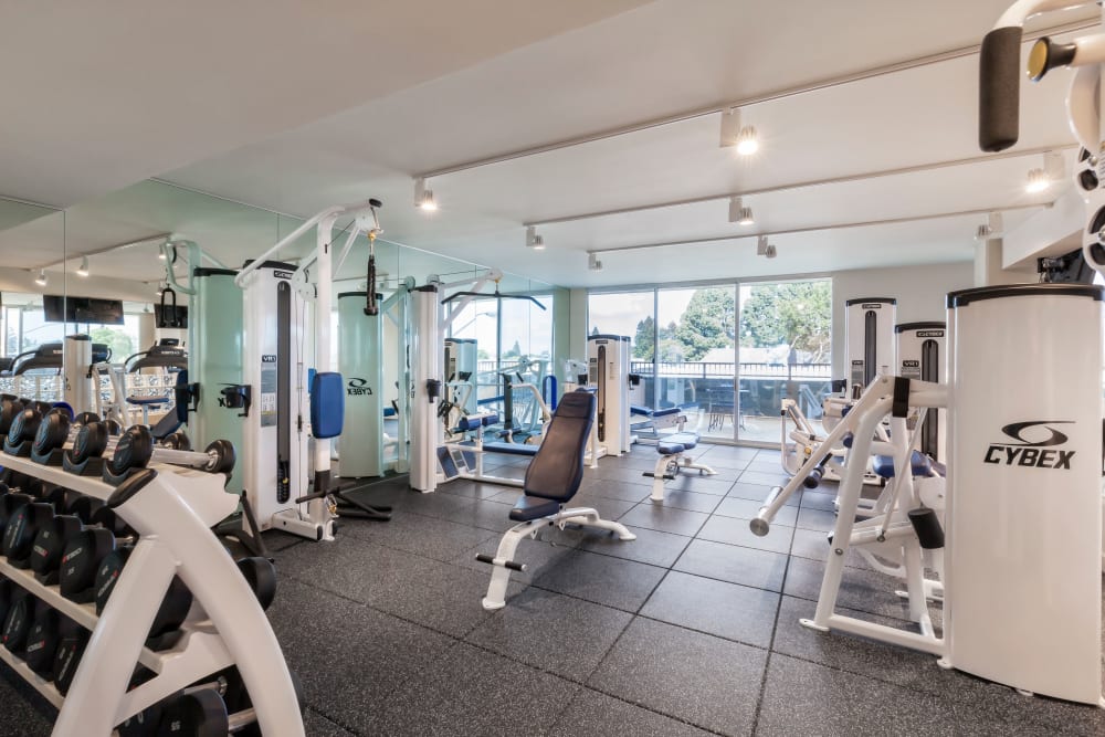 Modern fitness center at Two50 Downtown in San Mateo, California