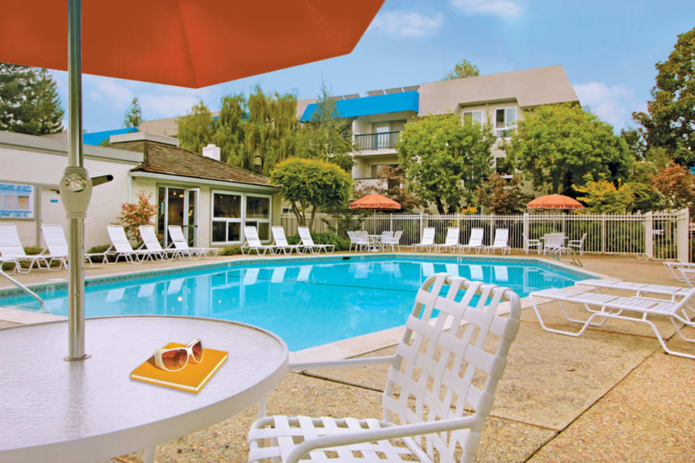 Sparkling swimming pool at Newport Apartments in Campbell, California