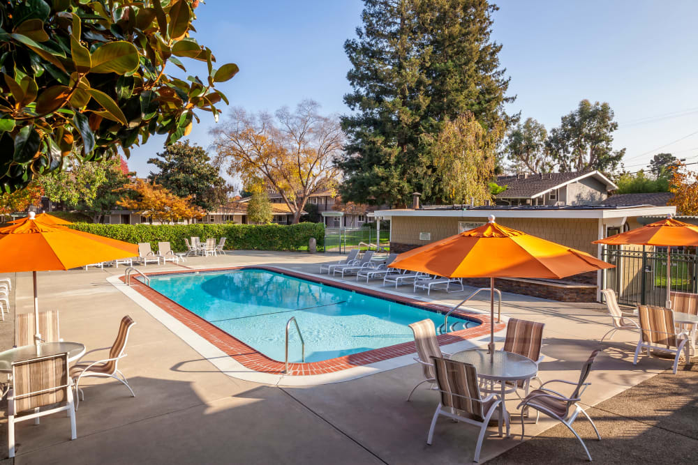 Swimming pool with patio seating at Parkwood Apartments in Sunnyvale, California