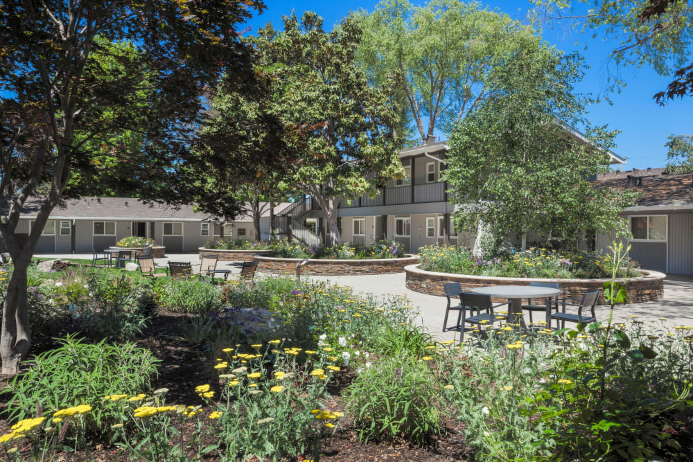 Seating in Parkwood Apartments' courtyard in Sunnyvale, California