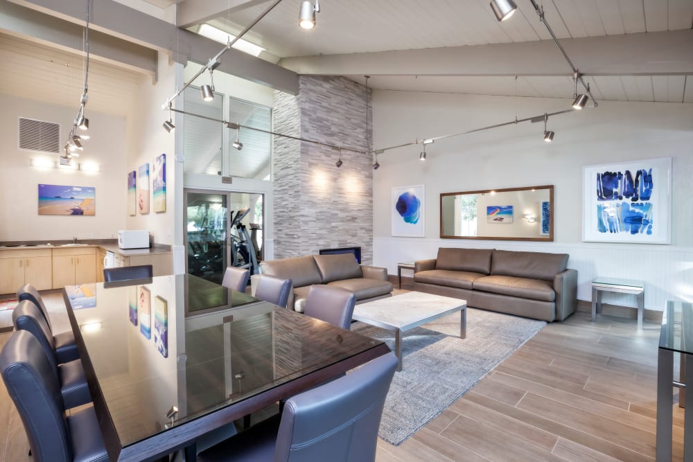 Lounge amenities at Spring Creek Apartments in Santa Clara, California