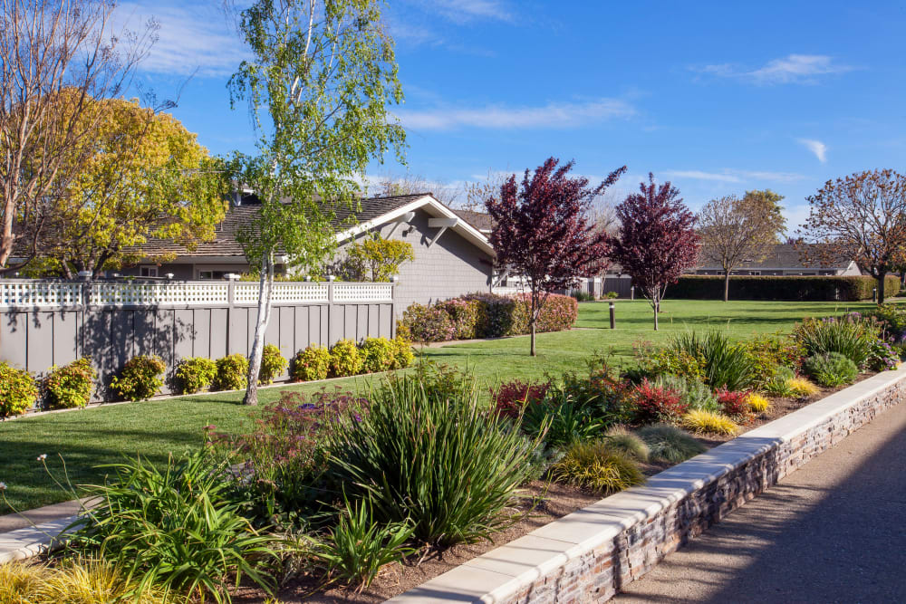 Garden setting at Village Green Apartments in Cupertino, California