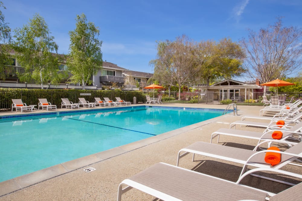 Pool with lounge chairs at Village Green Apartments in Cupertino, California