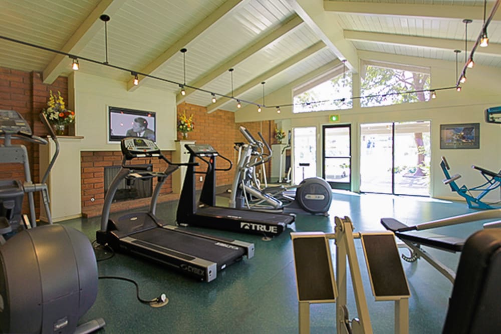 Fitness amenities at Village Green Apartments in Cupertino, California