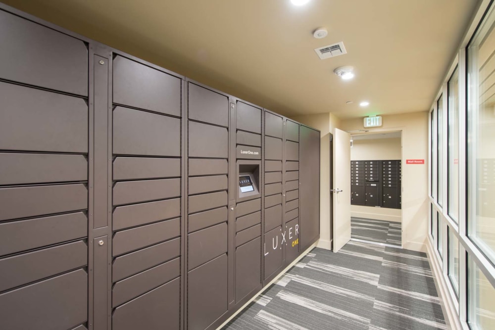 Package Lockers at Preserve at Cradlerock Apartment Homes in Columbia, Maryland