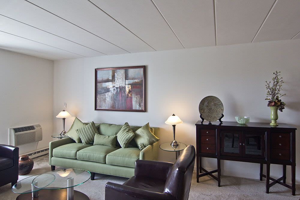 Livingroom at Park Towers Apartments in Richton Park, Illinois