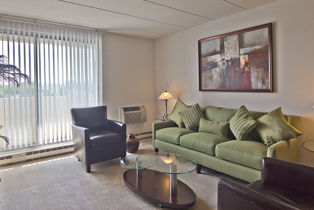 Livingroom at Park Towers Apartments in Richton Park, Illinois