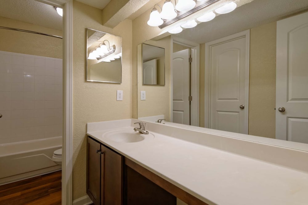 Bathroom at The Lodge on the Chattahoochee Apartments in Sandy Springs, Georgia