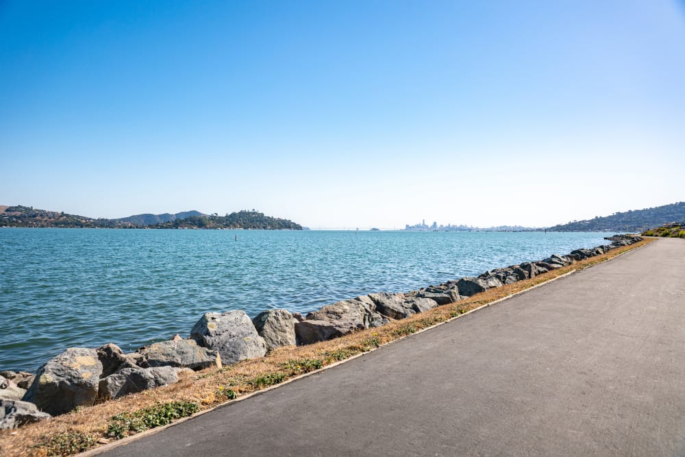 Driveway alongside the bay on a beautiful day at Harbor Point Apartments in Mill Valley, California