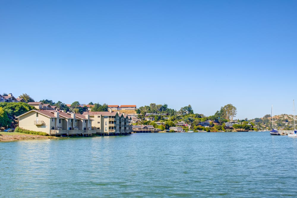 Our community from across the bay at Harbor Point Apartments in Mill Valley, California