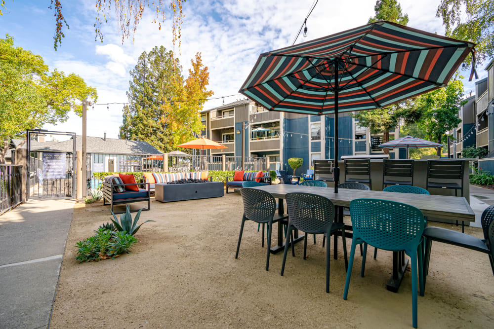 Shaded seating in one of the well-maintained outdoor common areas at Terra Martinez in Martinez, California