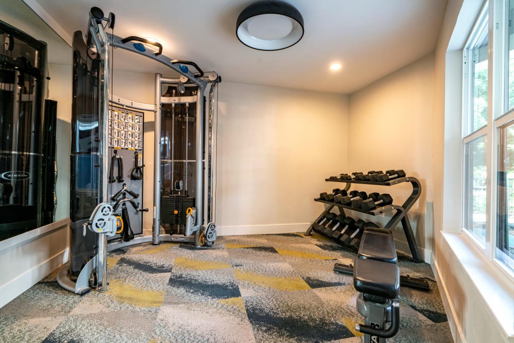 Onsite fitness center at Terra Martinez in Martinez, California