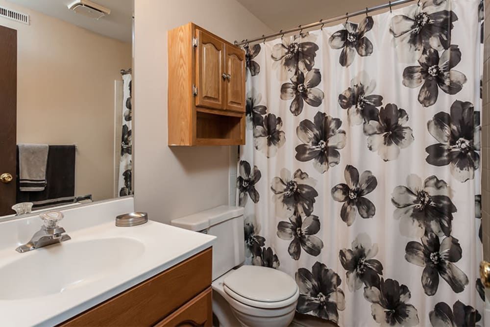Bathroom at Raintree Island Apartments home in Tonawanda, New York