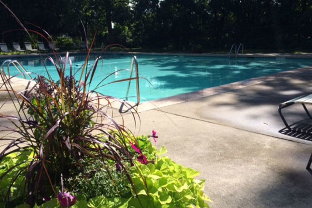 Refreshing swimming pool at Raintree Island Apartments in Tonawanda, New York