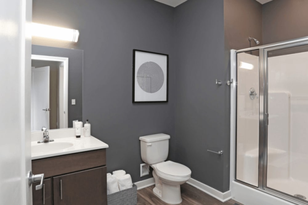 Bright bathroom at Park West 205 Apartment Homes in Pittsburgh, Pennsylvania