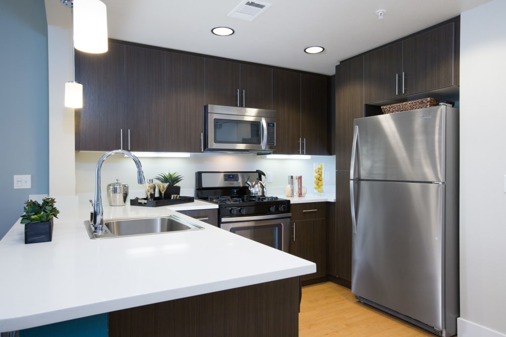 Kitchen with stainless-steel appliances at Sofi Riverview Park in San Jose, California