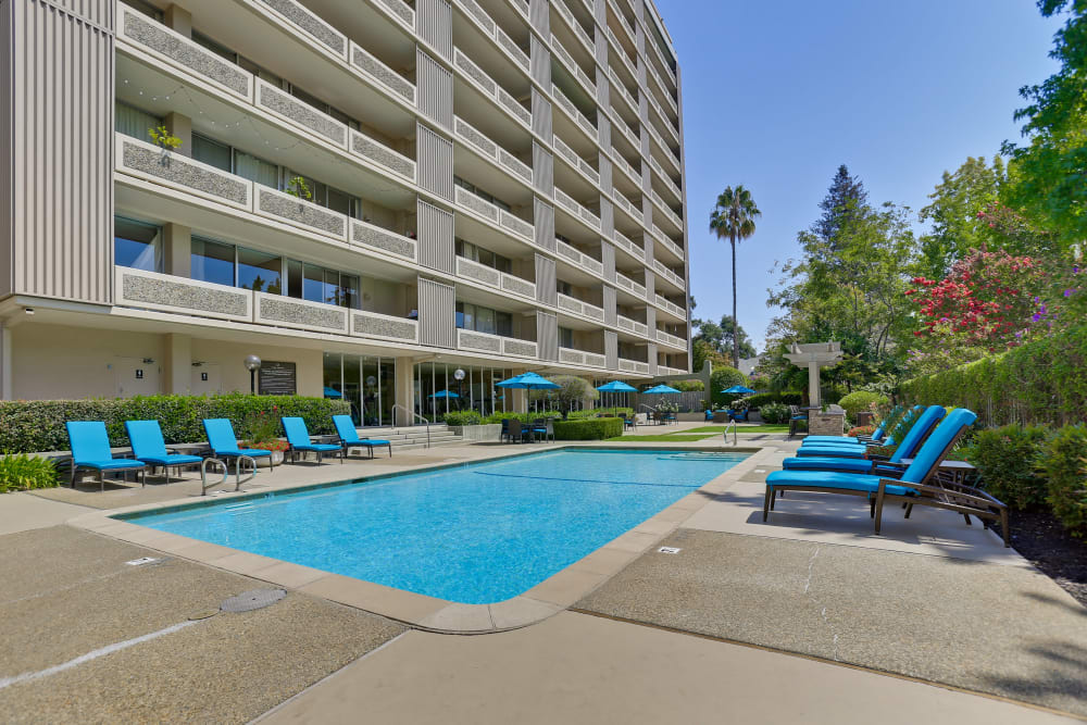 Community swimming pool at The Marc, Palo Alto in Palo Alto, California