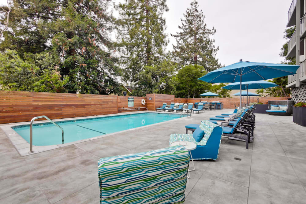 Resort-style swimming pool at Mia in Palo Alto, California