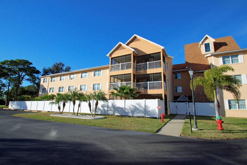 Palm trees in front of Bayside Terrace in Pinellas Park, Florida