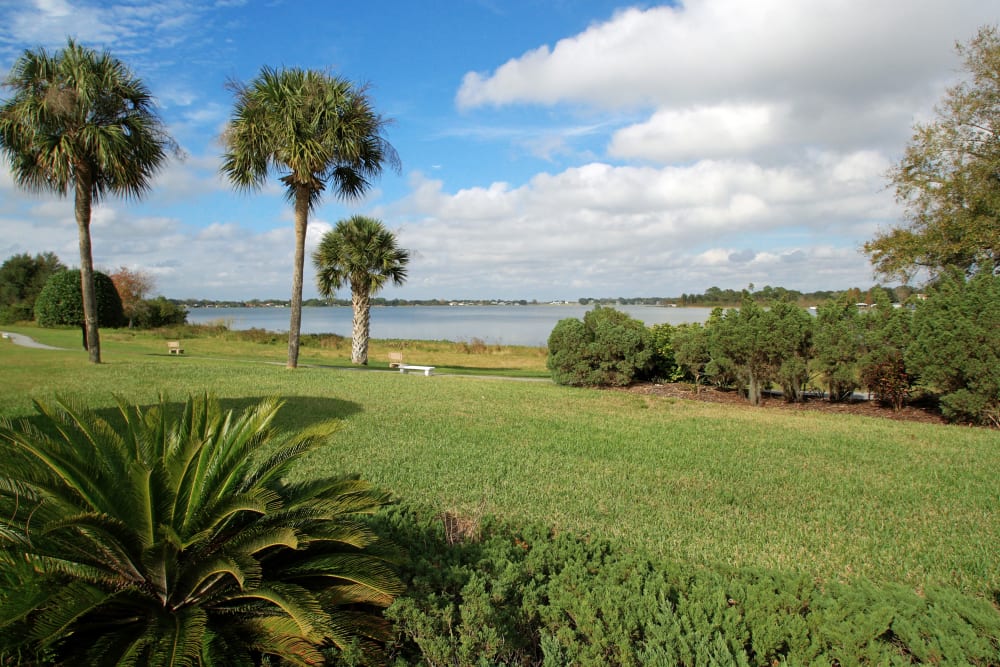 Amenities Spring Haven In Winter Haven Fl