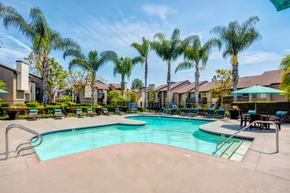Large swimming pool surrounded by lounge chairs and palm trees at Sofi Laguna Hills in Laguna Hills, California