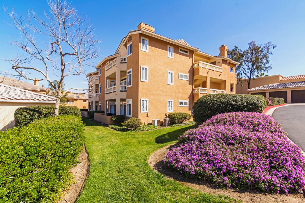 Professionally maintained landscaping outside resident buildings at Sofi Canyon Hills in San Diego, California