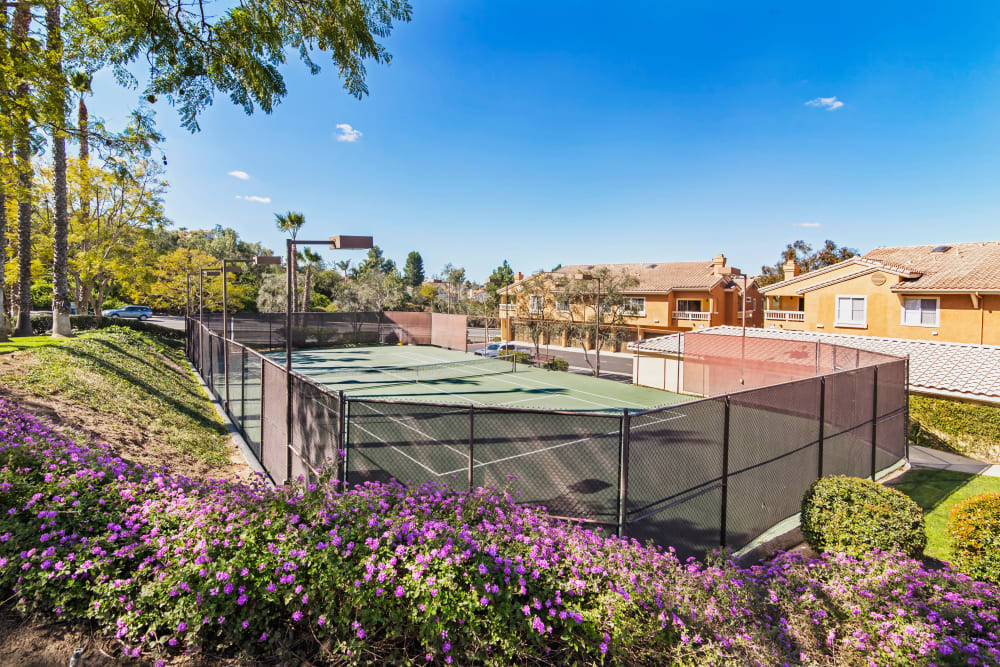 Onsite tennis courts at Sofi Canyon Hills in San Diego, California