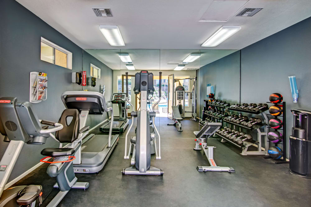 Cardio machines and free weights in the fitness center at Sofi Canyon Hills in San Diego, California