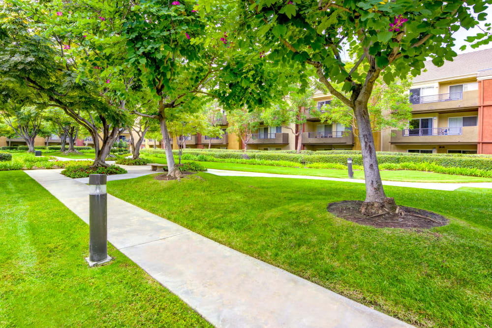 Professionally maintained green spaces with mature trees at Sofi Irvine in Irvine, California