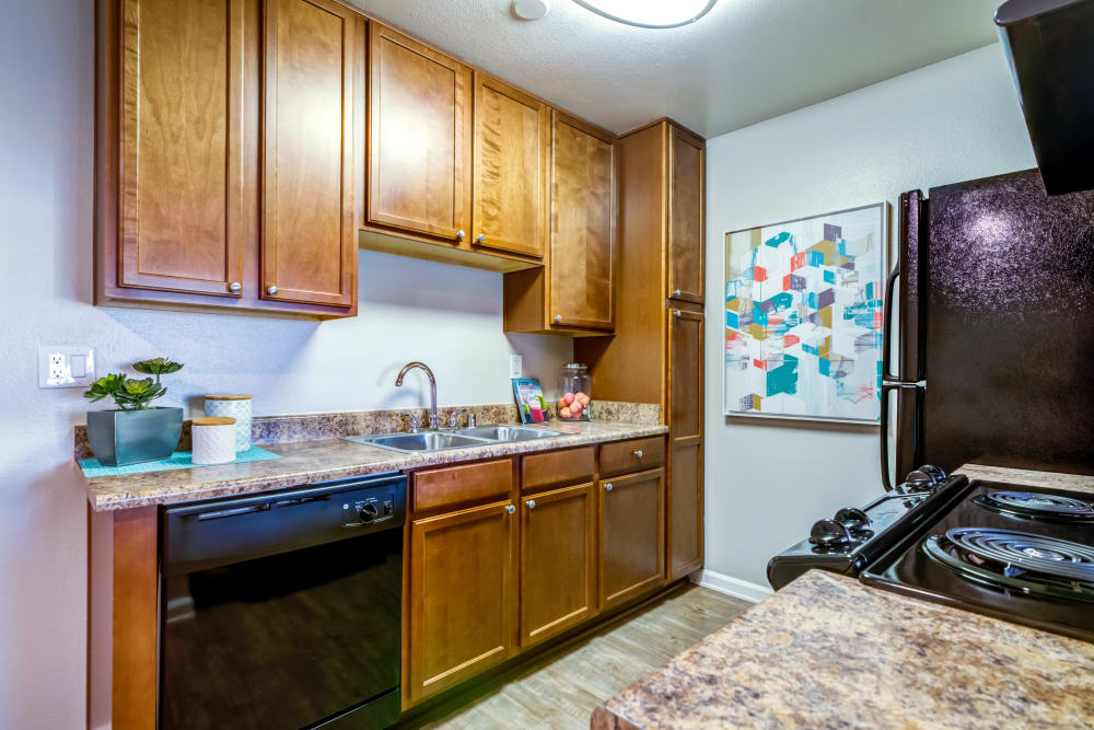 Sleek black appliances in a model home's modern kitchen at Sofi Poway in Poway, California