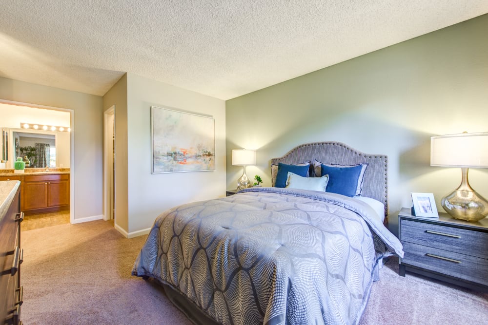 Master bedroom with plush carpeting and an accent wall in a model home at Sofi Poway in Poway, California