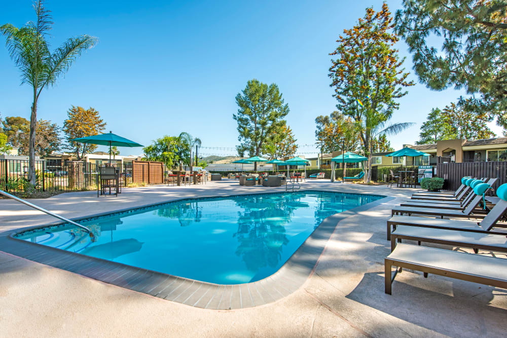 Sparkling swimming pool with chaise lounge chairs at Sofi Poway in Poway, California