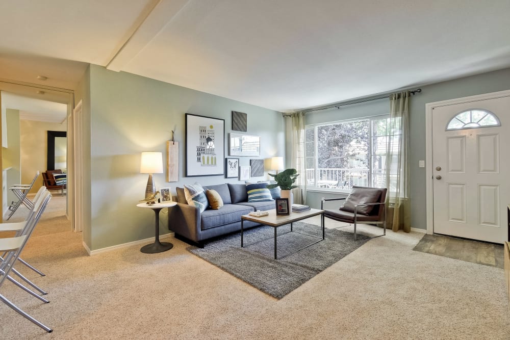 Warm and welcoming open-concept layout with plush carpeting in a model home at Sofi at Los Gatos Creek in San Jose, California