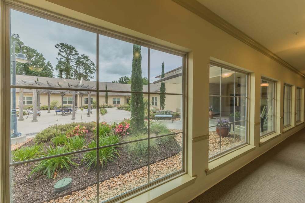 Large windows at Cedar Crest Memory Care in Lafayette, Louisiana