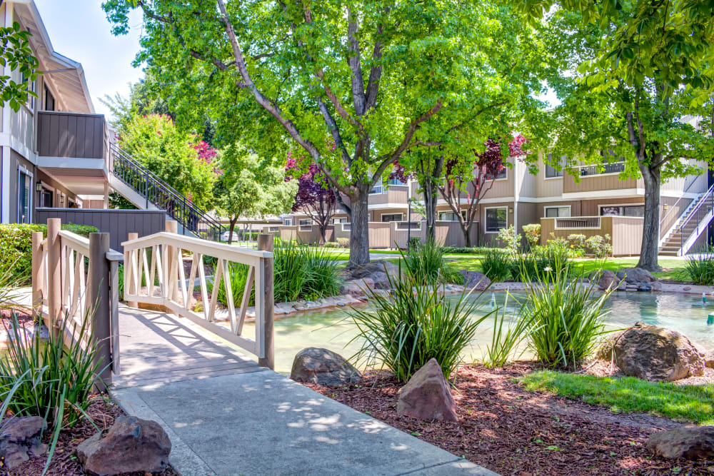 Bridge over small pond surrounded by lush flora at Sofi Berryessa in San Jose, California