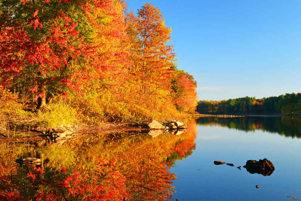 Gorgeous view of a river in Ellington, Connecticut near Autumn Chase