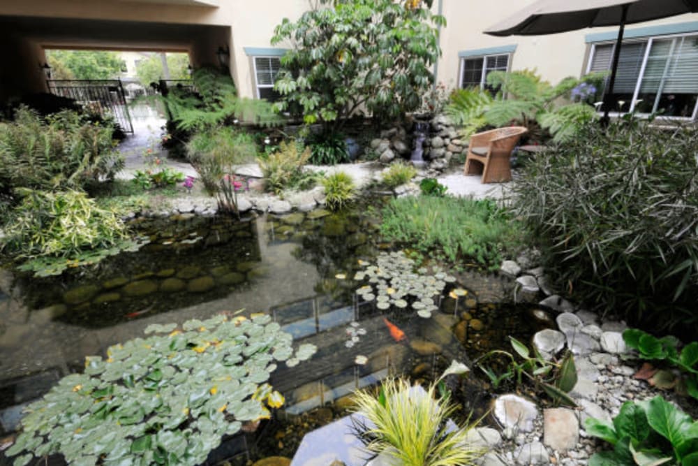 The courtyard pond with fish and lots of plant life at Cypress Place in Ventura, California