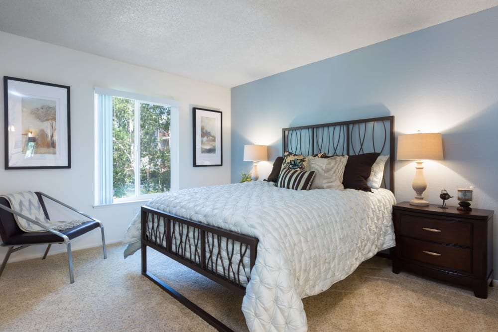 Child's bedroom with an accent wall in a model home at Waterstone Fremont in Fremont, California