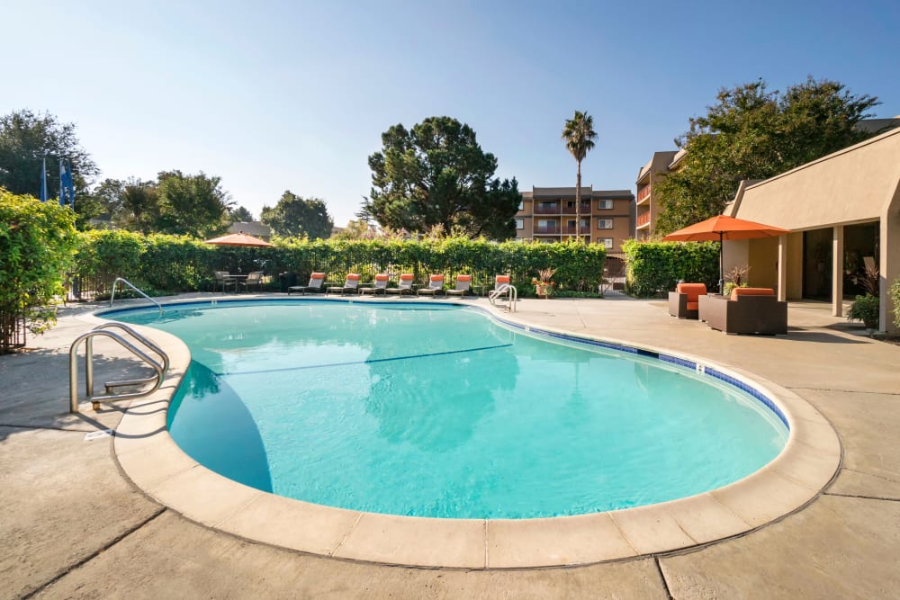 Professionally maintained flora around the swimming pools at Waterstone Fremont in Fremont, California