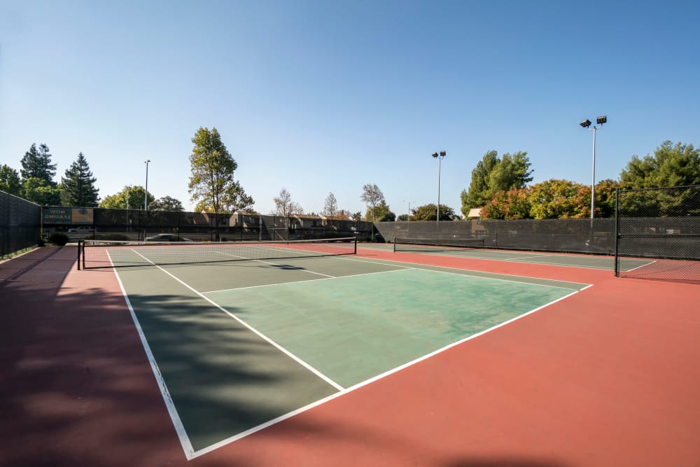 Well-maintained onsite tennis courts at Waterstone Fremont in Fremont, California