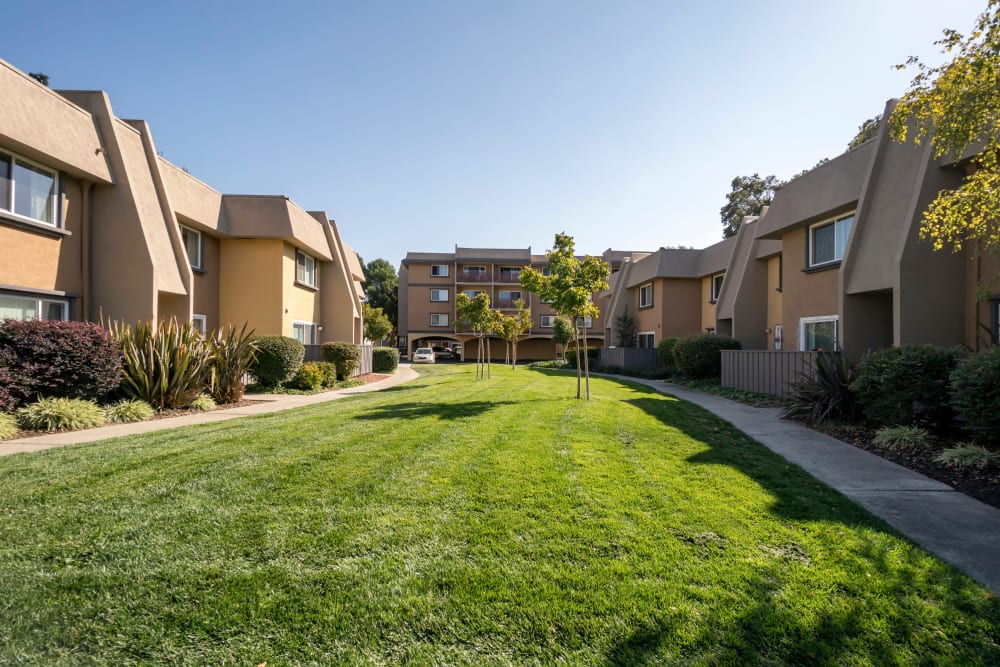 Well-maintained green spaces between resident buildings at Waterstone Fremont in Fremont, California