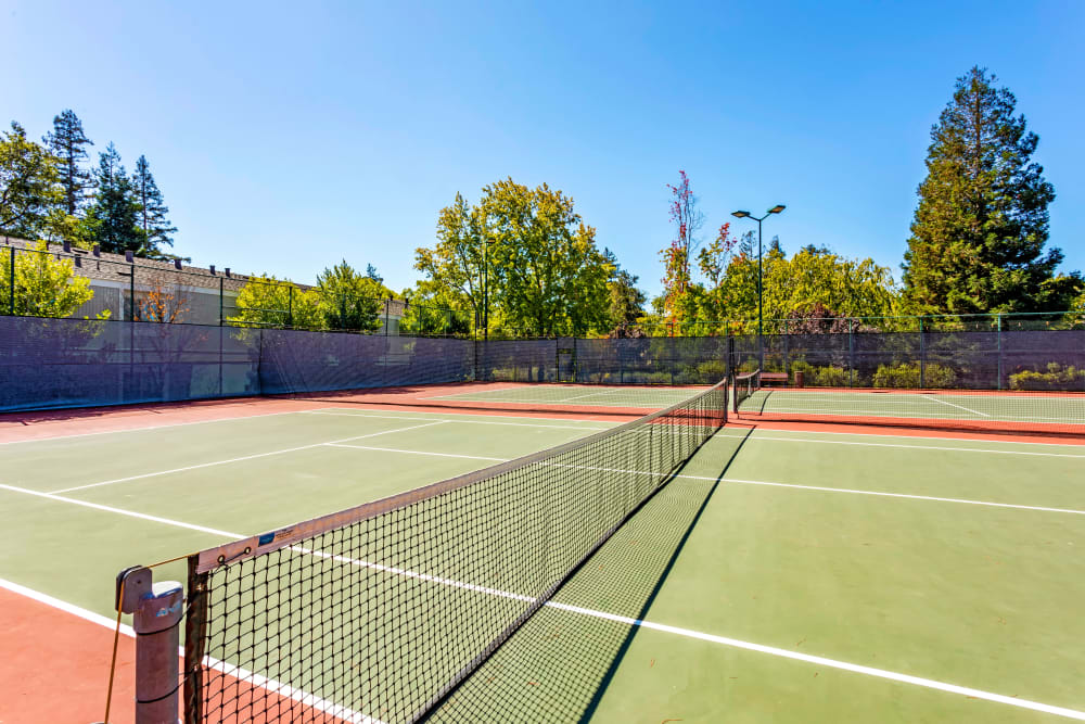 Tennis courts on a sunny day at Glenbrook Apartments in Cupertino, California