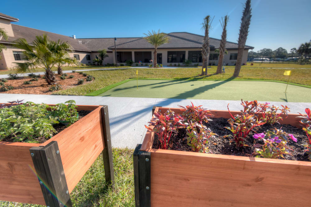 Plant boxes and the putting green at Inspired Living in Tampa, Florida.