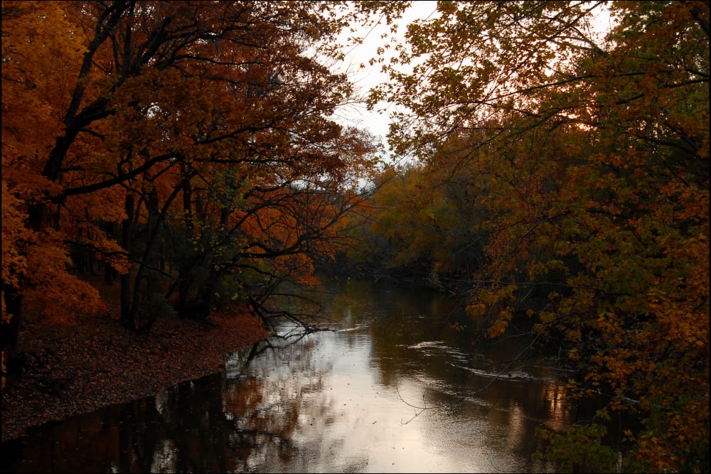 Stunning river near 301 Riverwalk Place in Buffalo Grove, Illinois