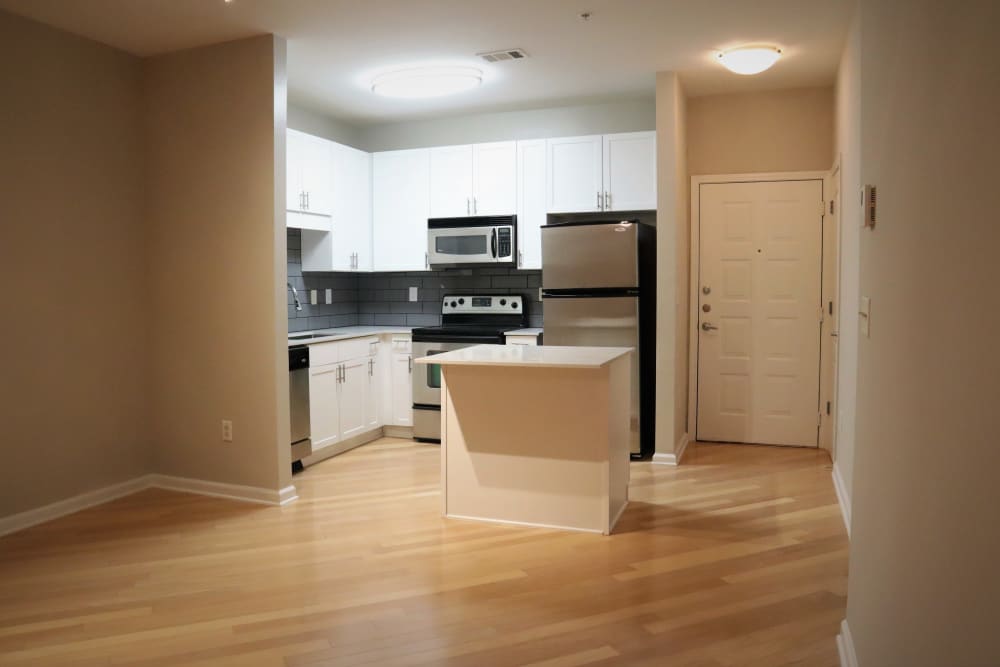 City View Apartments For Rent City View Apartments For Rent