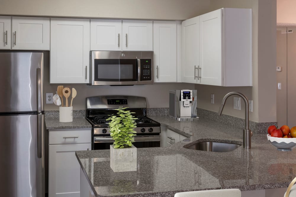 Stainless Steel Appliances at The Grand Reserve at Maitland Park