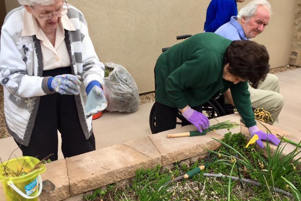 Residents gardening at The Retreat at Sunbrook in St. George, Utah