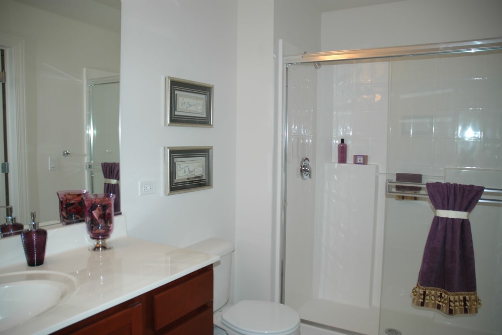 Clean bathroom at 301 Riverwalk Place in Buffalo Grove, Illinois